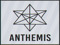 Anthemis