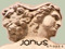 JANUS shapes JANUS shapes