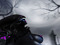 Luna Darkmoon's Pack
