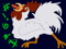 Zee's Absurdities MP Store Zee's Absurdities MP Store