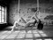 Trapeze