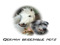 German breedable pets 