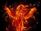 Phoenix Dreams Phoenix Dreams