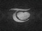 TRAUM GROUP TRAUM GROUP
