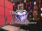 The Lux Experience The Lux Experience