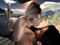 Helhis and Xue's Universal Dream Helhis and Xue's Universal Dream