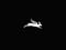 AiRHARE AiRHARE