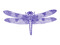 Dragonfly Lake
