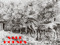 SALE HORSES SALE HORSES