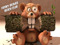 Frisky Beaver Beach Club Frisky Beaver Beach Club