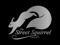 The Street Squirrel Company The Street Squirrel Company