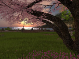 Logo parcel-second-life
