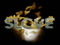 SL Chamber of Virtual E-Commerce