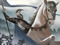 Whispering Pines ~ Guild Members