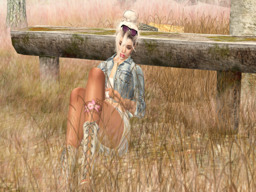 parcel image