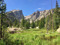 Rocky Mountain Greenery Family