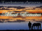TOMBSTONE ARIZONA MAD ESTATES TOMBSTONE ARIZONA MAD ESTATES