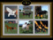 AKK Horse Ranch - No Food Required, Demo Horses, horse riding 