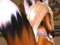 Furry Escorts! Furry Escorts!