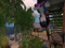 [SL is SL]