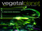 VeGeTaL PLaNeT [https://bit.ly/2m1jpoQ > Facebook]