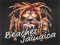 Beaches Jamaica Massive